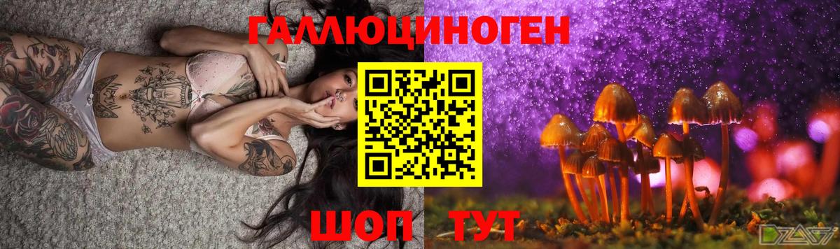 Ленинск-Кузнецкий  Псилоцибиновые грибы GOLDEN TEACHER  Вход с VPN  Псилоцибиновые грибы Magic Shrooms 